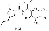 Veterinary medicine Raw Material Clindamycin Hydrochloride